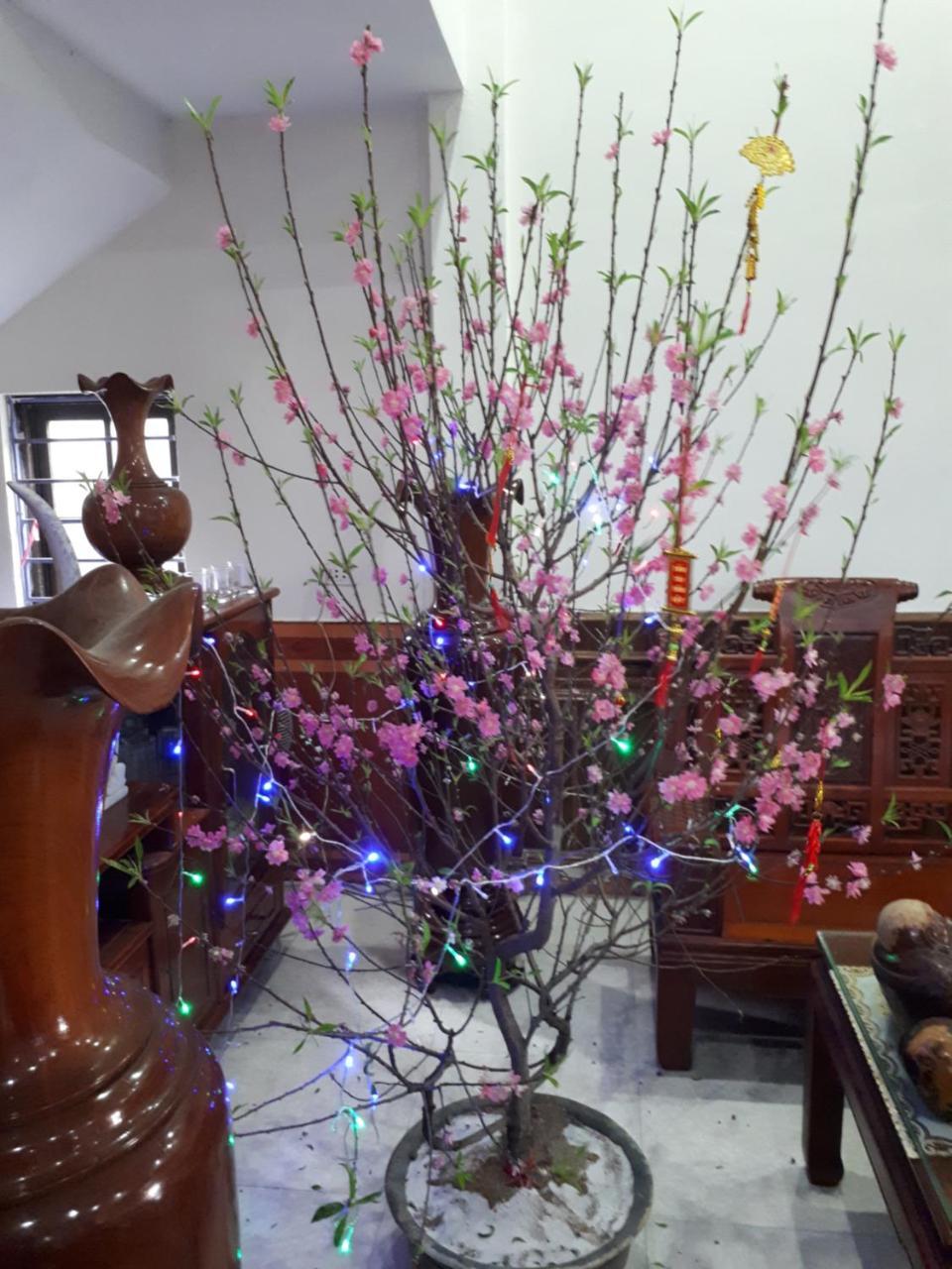 Hotel Thanh Minh Chau Lang Chanh Esterno foto